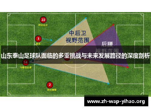 山东泰山足球队面临的多重挑战与未来发展路径的深度剖析