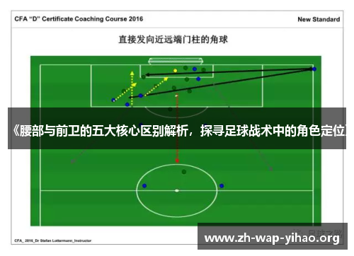 《腰部与前卫的五大核心区别解析，探寻足球战术中的角色定位》