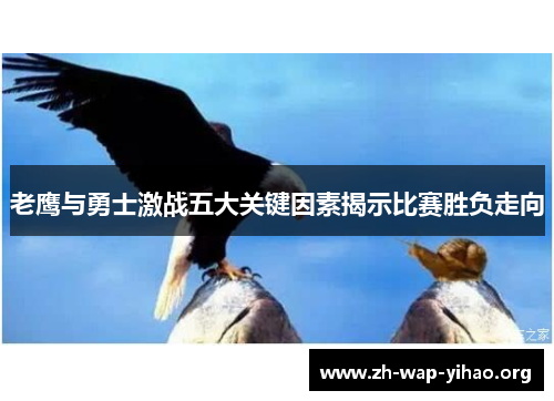 老鹰与勇士激战五大关键因素揭示比赛胜负走向