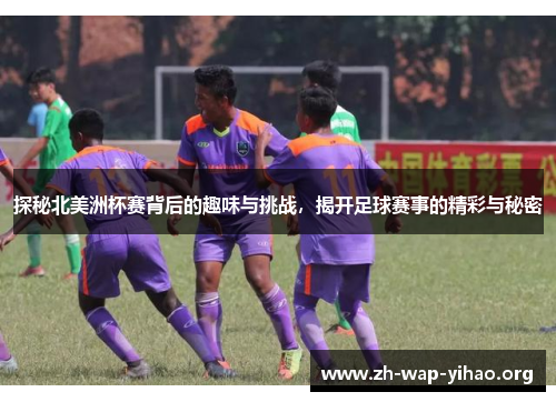 探秘北美洲杯赛背后的趣味与挑战,揭开足球赛事的精彩与秘密 探秘北美洲杯赛背后的趣味与挑战,揭开足球赛事的精彩与秘密
